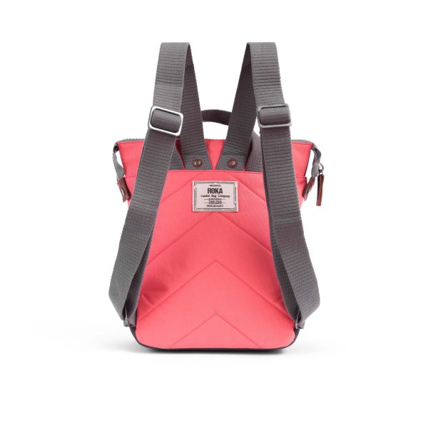 Bantry B Coral - Small (Canvas) - Image 3