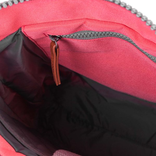 Bantry B Coral - Small (Canvas) - Image 6