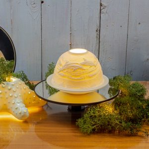 Dolphins Dome Light