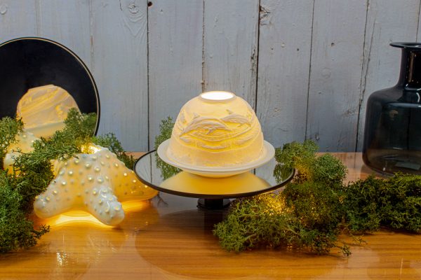 Dolphins Dome Light
