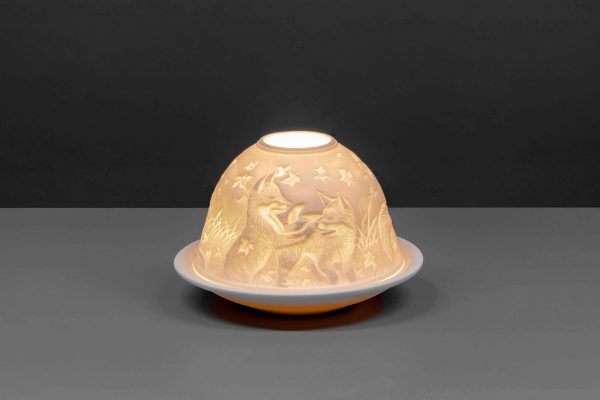 Foxes Dome Light