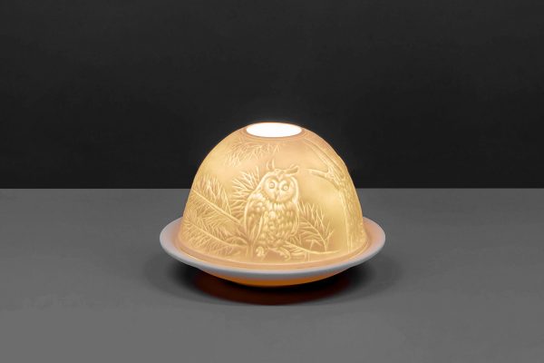 Owl Dome Light - Image 2