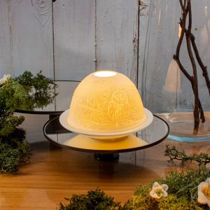 Owl Dome Light