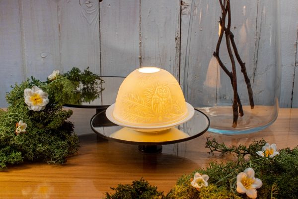 Owl Dome Light
