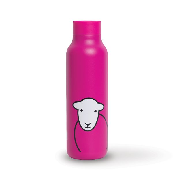 Pink Sheep Flask