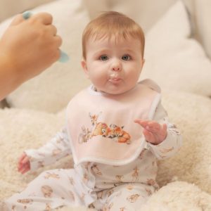 Forest Animals Bib Set