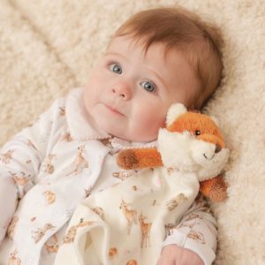 Little Forest Fox Plush Comforter