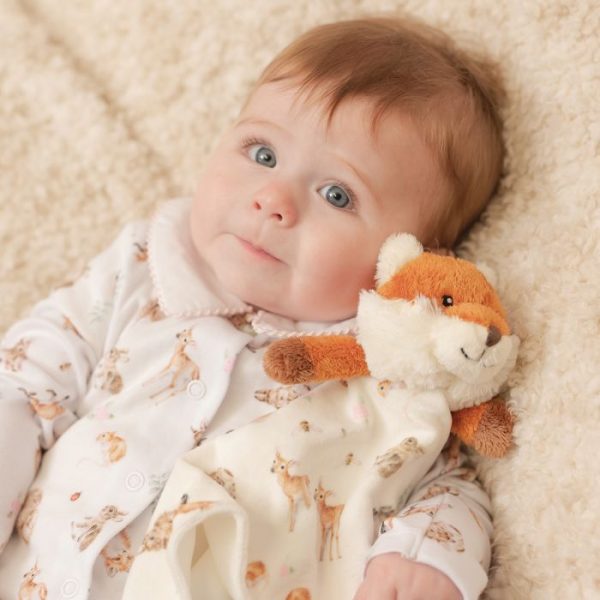 Little Forest Fox Plush Comforter