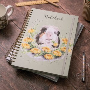 A4 Guinea Pig Notebook