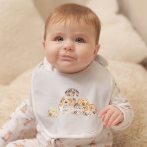 Little Paws Bib Set