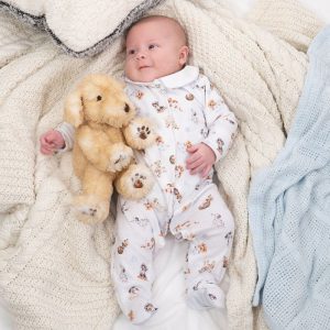 Little Paws Babygrow