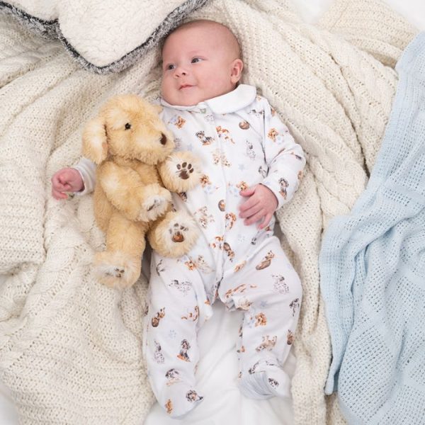 Little Paws Babygrow