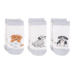 Dogs Baby Socks