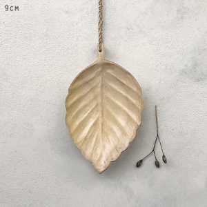 Hanging Beech Leaf