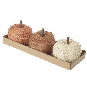 Small Pumpkin Set