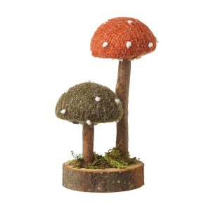 Mushrooms on a Log