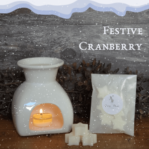 Festive Cranberry Wax Melts