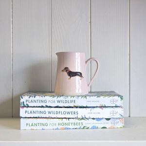 Dachshund Small Jug - Pink