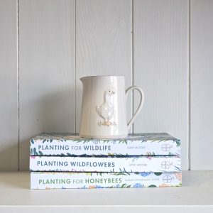 Goose Small Jug - Cream