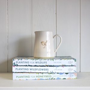 Wren Small Jug - Cream