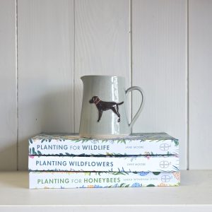 Black Labrador Small Jug - Eau de Nil