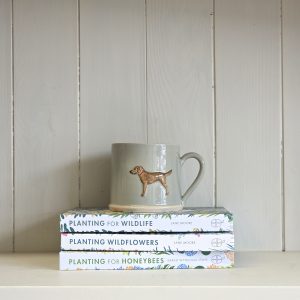 Labrador Mug Eau de Nil