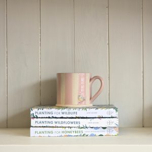 Blue Tit Mug Striped Pink