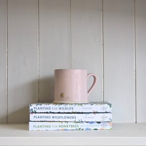 Hedgehog Mug Pink