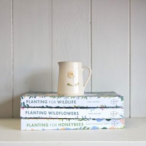 Primrose Mini Jug - Cream