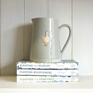 Goose Large Jug - Eau de Nil