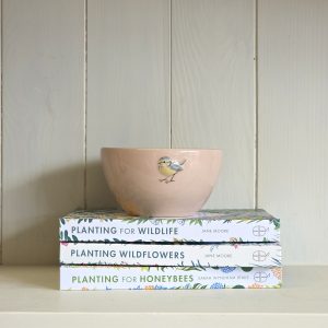 Blue Tit Small Bowl - Pink