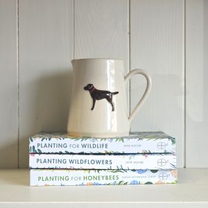 Black Labrador Medium Jug - Cream