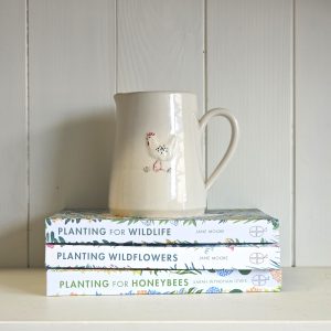 Chicken Medium Jug - Cream