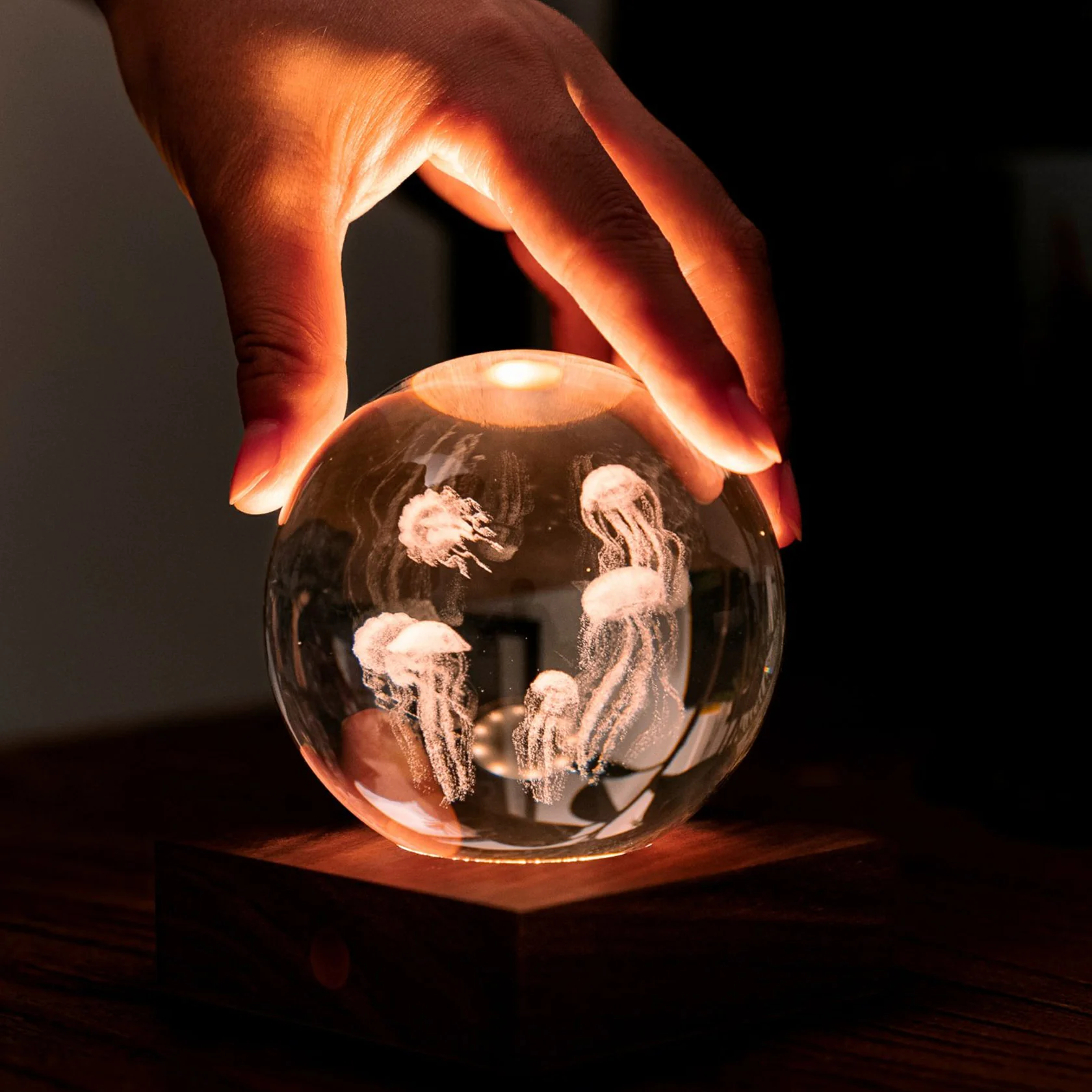 Gingko Crystal Light - Jellyfish